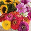 Cut Flower Kit For Market Growers