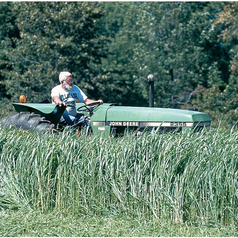 Sudangrass (Piper) 1 Sudangrass (Piper)