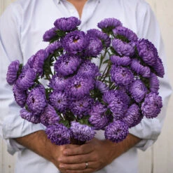 Tower Blue -US Garden Supplies Sales 2024 03321 02 tower blue