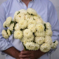 Tower Yellow -US Garden Supplies Sales 2024 03324 02 tower yellow