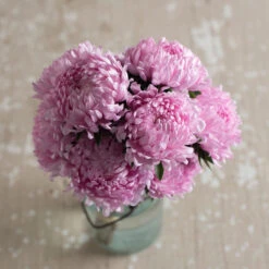 Tower Salmon -US Garden Supplies Sales 2024 03325 02 tower salmon