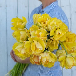 Akebono 6 Akebono -US Garden Supplies Sales 2024 03469 02 akebono