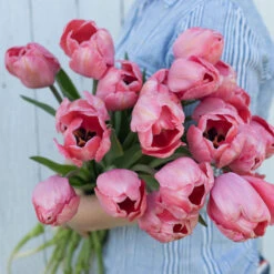 Design Impression -US Garden Supplies Sales 2024 03491 02 design impression