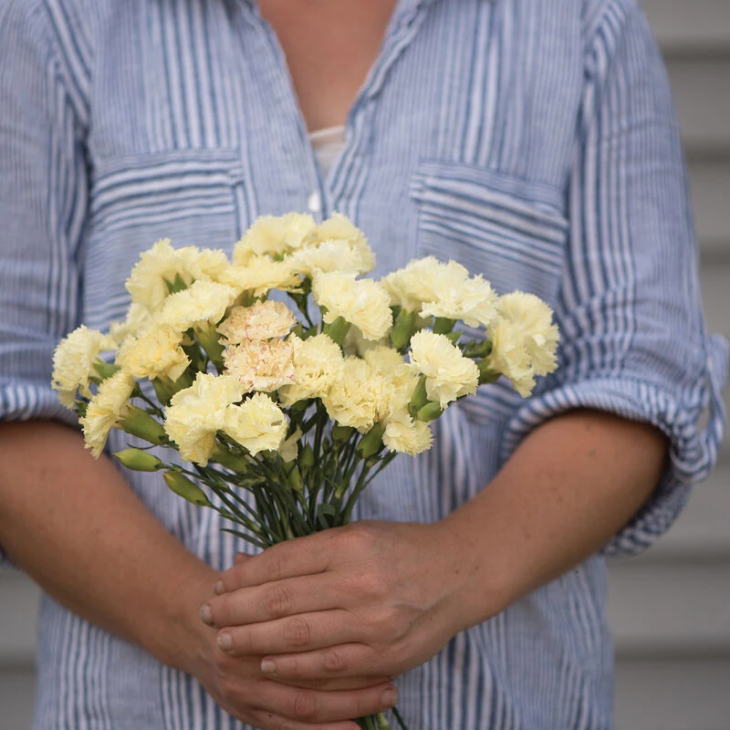 Marie Chabaud 2 Marie Chabaud - Image 2