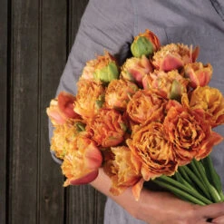 Sensual Touch -US Garden Supplies Sales 2024 04058 04 sensual touch