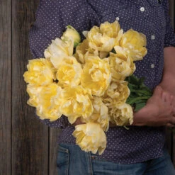 Verona -US Garden Supplies Sales 2024 04062 02 verona