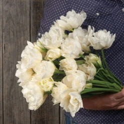 Mondial 4 Mondial -US Garden Supplies Sales 2024 04063 02 mondial