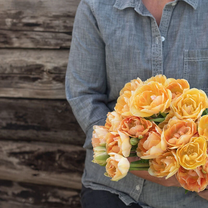 Charming Beauty 2 Charming Beauty - Image 2