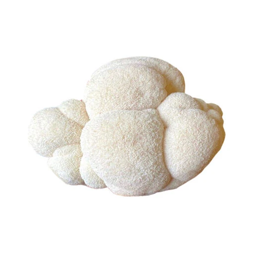 Lion's Mane 'Spray & Grow' Kit -US Garden Supplies Sales 2024 06601g 01 lyons mane spray n grow kit mushroom