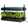 SunBlaster Growlight Garden
