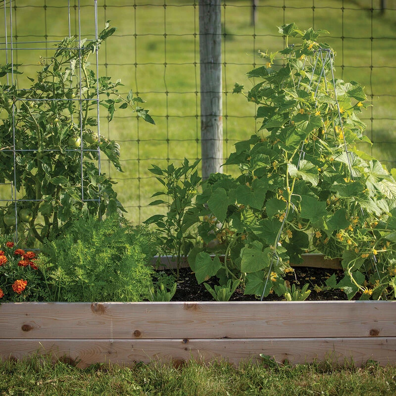 Cedar Raised Garden Bed – 3' X 6' 2 Cedar Raised Garden Bed – 3' X 6' - Image 2