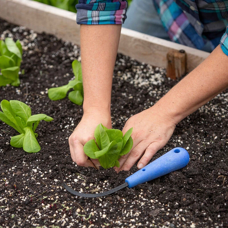 CobraHead® – Mini 2 CobraHead® – Mini - Image 2