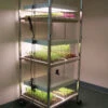 Compact Seedling Light Cart – 6 Trays, 240 Watts