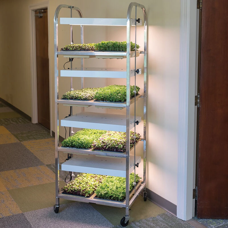 Compact Seedling Light Cart – 8 Trays, 320 Watts 1 Compact Seedling Light Cart – 8 Trays, 320 Watts