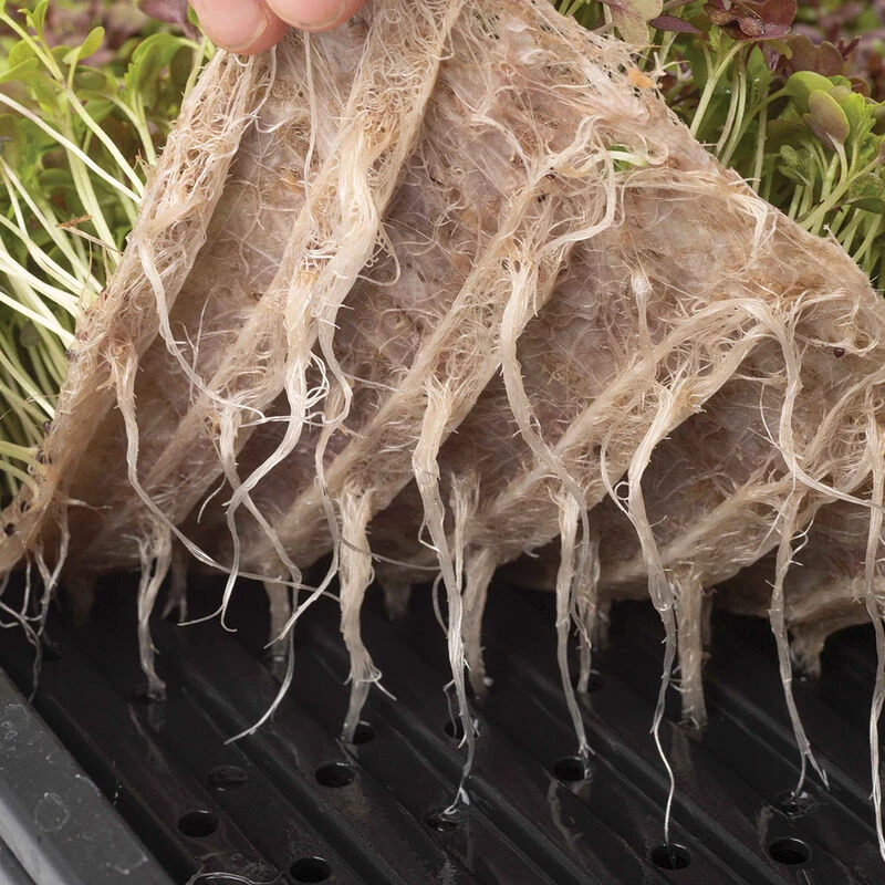 Terrafibre Hemp Grow Mats, 10" X 20" – 140 Count 3 Terrafibre Hemp Grow Mats, 10" X 20" – 140 Count - Image 3