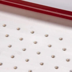 Seed Plate A264 -US Garden Supplies Sales 2024 07657 02 a264