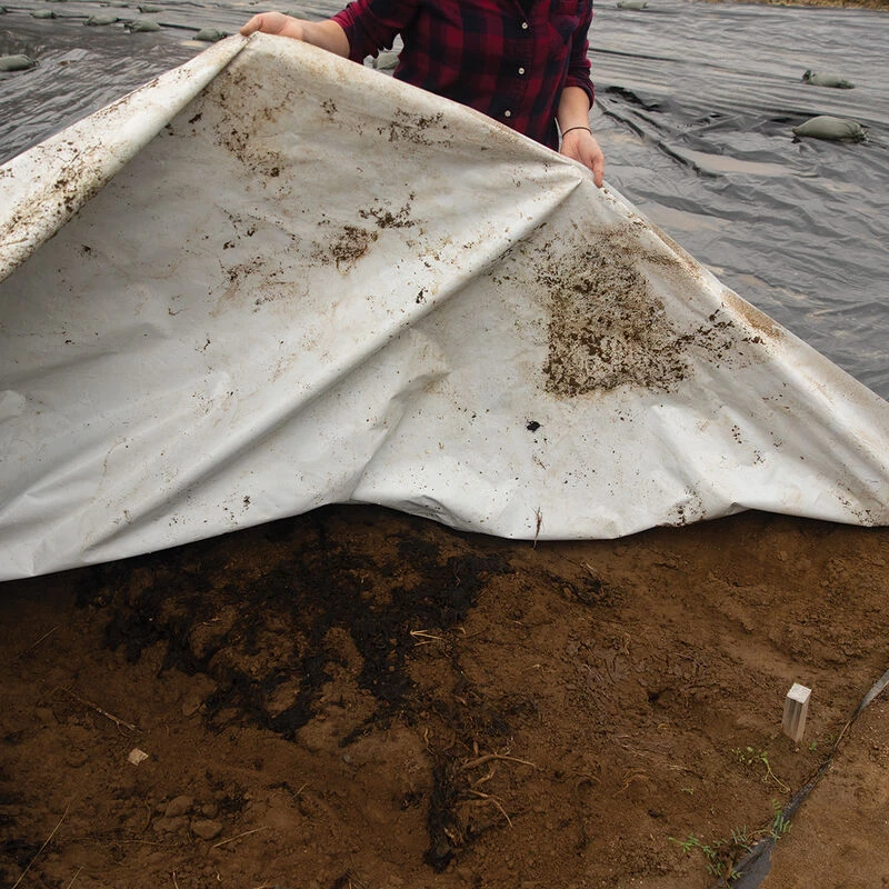 Silage Tarp – 32' X 100' 1 Silage Tarp – 32' X 100'