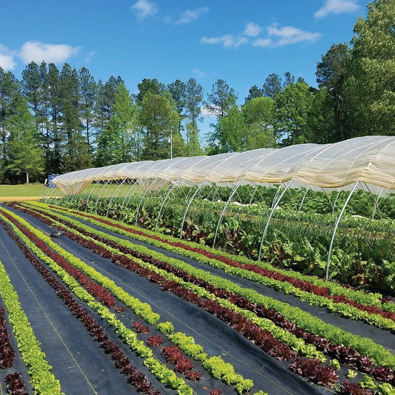 Sunbelt Black Ground Cover – 4' X 100' 1 Sunbelt Black Ground Cover – 4' X 100'