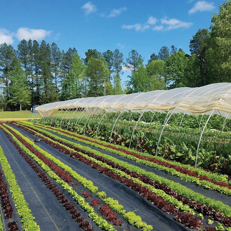 Sunbelt Black Ground Cover – 15' 6" X 300' 1 Sunbelt Black Ground Cover – 15' 6" X 300'