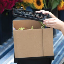 Florida Lid -US Garden Supplies Sales 2024 07925 04 floridalid