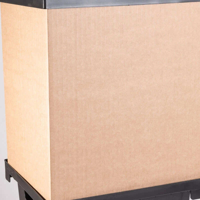 Florida Collar – 13" 1 Florida Collar – 13"