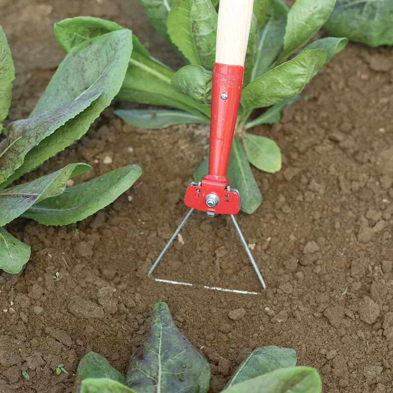 Delta Wire Hoe 1 Delta Wire Hoe