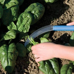 Serrated Greens Knife – 6" -US Garden Supplies Sales 2024 09098 02 sergreensknife