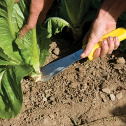 Lettuce Field Knife -US Garden Supplies Sales 2024 09177 02 lettucefldknife
