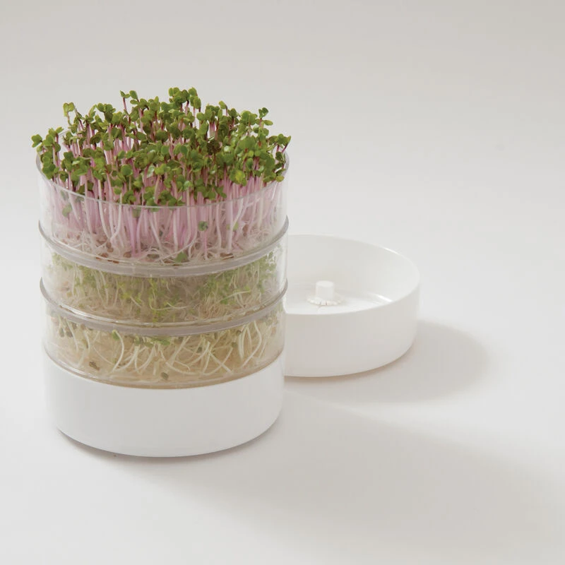 Bioset Germinator 1 Bioset Germinator