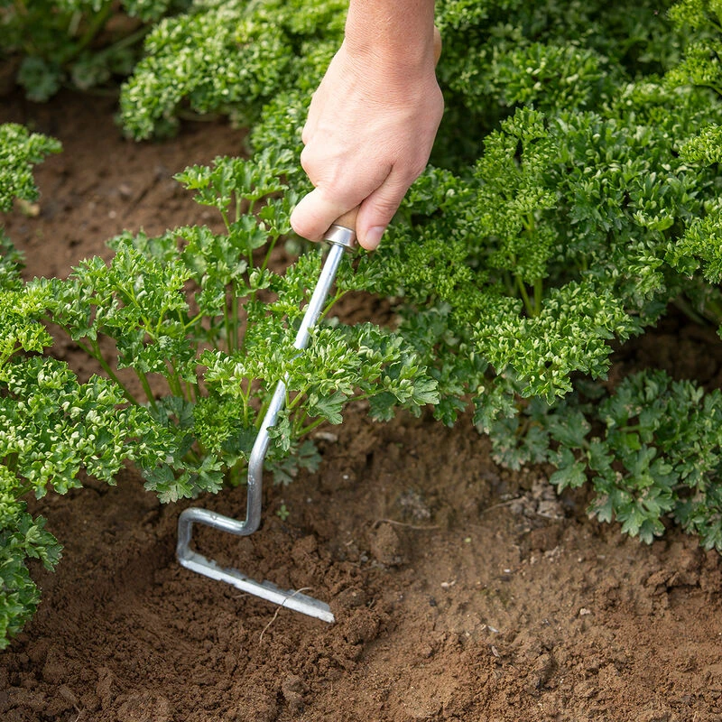 Wire Weeder 2 Wire Weeder - Image 2