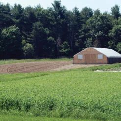 Spring Green Manure Mix
