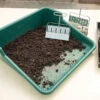 Soil Blocking And Potting Tray